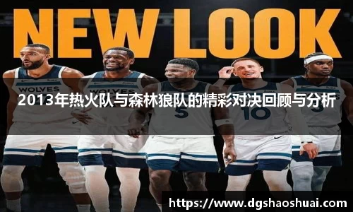 2013年热火队与森林狼队的精彩对决回顾与分析